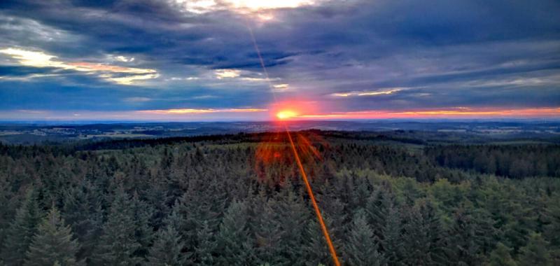 Bosques y parajes naturales de Valonia 