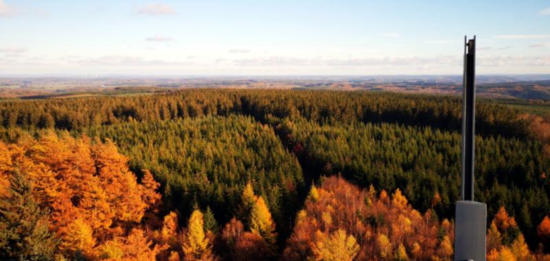 Bosques y parajes naturales de Valonia 