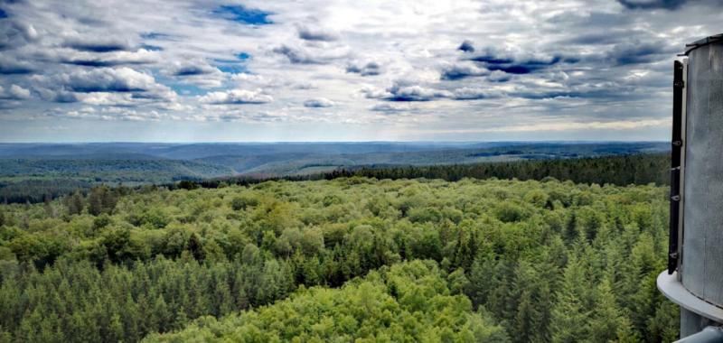 Bosques y parajes naturales de Valonia 