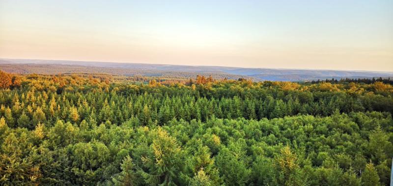 Bosques y parajes naturales de Valonia 