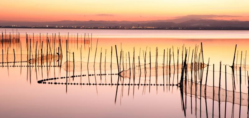 Los mejores atardeceres 