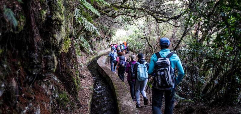 Festival de Senderismo y Montaña isla de La Palma 