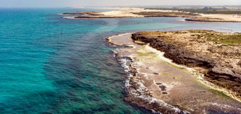 Playas de Israel 