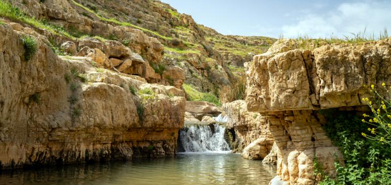 Israel. Piscinas naturales 