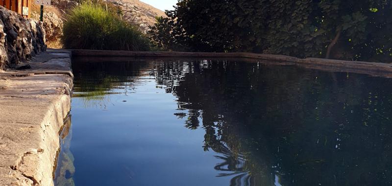 Israel. Piscinas naturales 