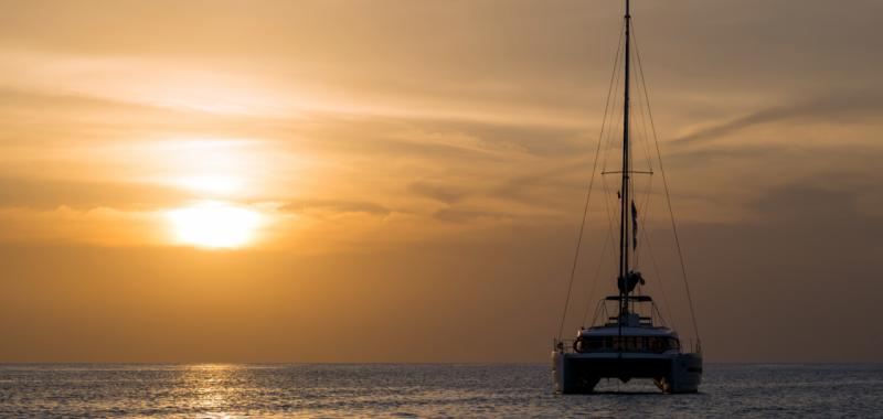 Paseos en barco 