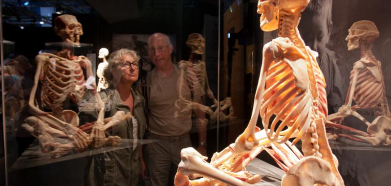 Body Worlds: El Ritmo de la Vida