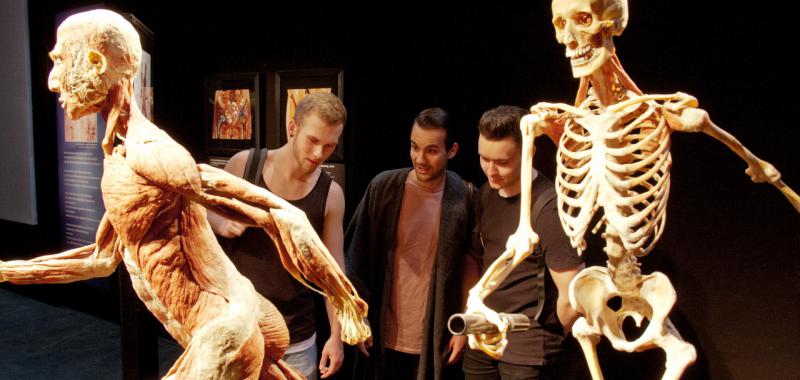 Body Worlds: El Ritmo de la Vida