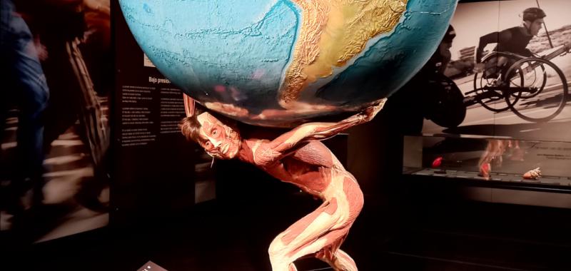 Body Worlds: El Ritmo de la Vida