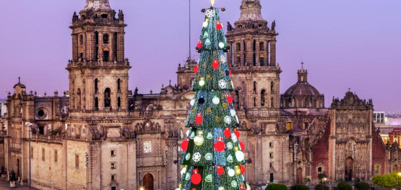 Árboles de navidad 