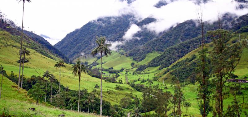 Colombia 