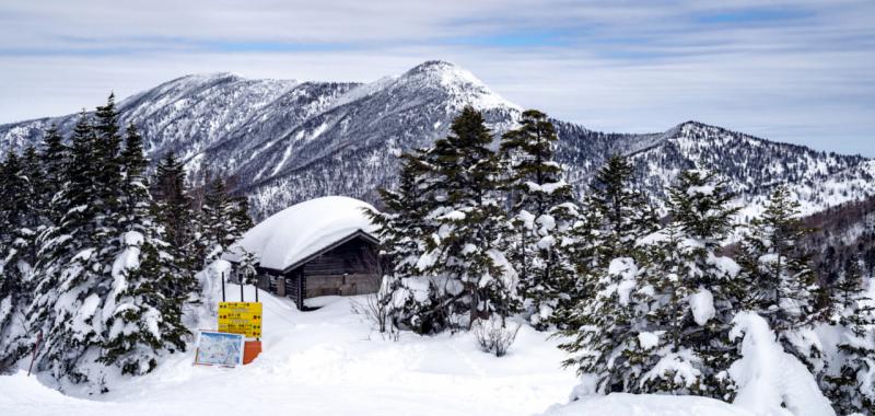 Planes para disfrutar del invierno en Japón 