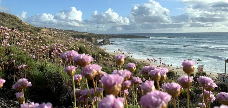 Alentejo 