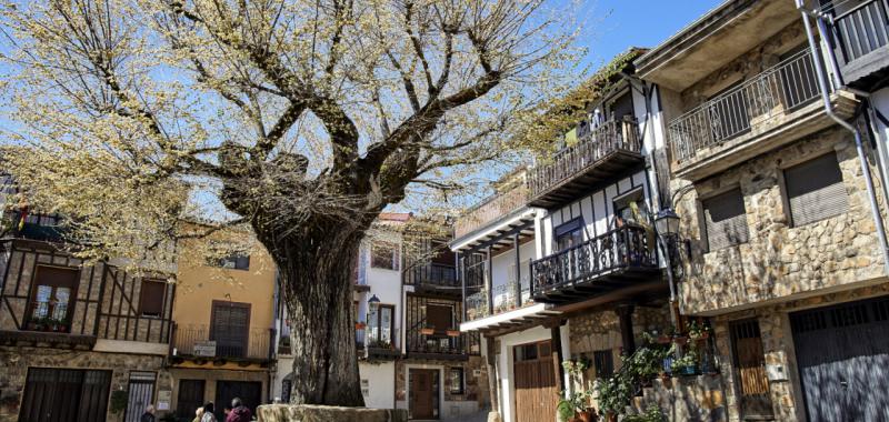 Sierra de Francia 