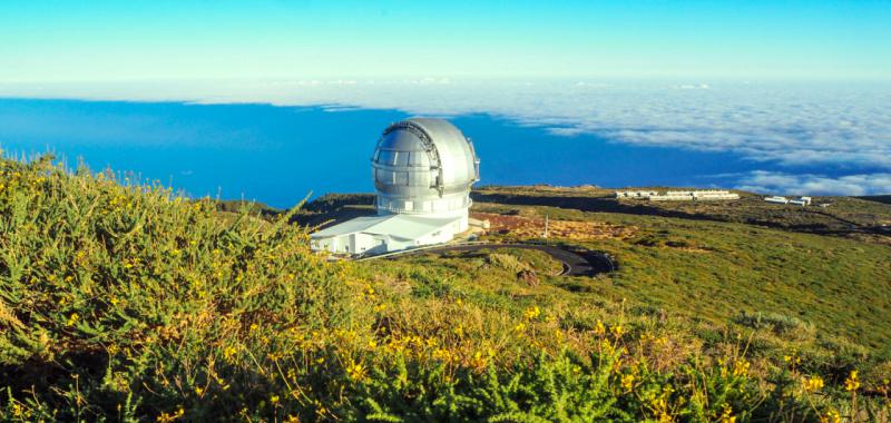 La Palma vuelve a florecer 