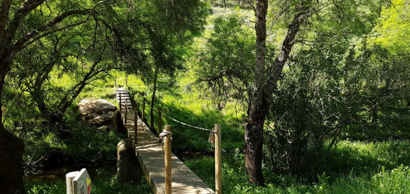 Caminos de Santiago portugueses 