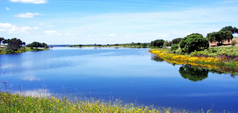 Alentejo. Red de Estaciones Náuticas 