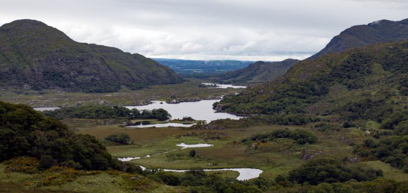 Camino irlandés 