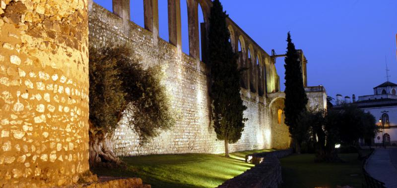 Castillos del Alentejo 