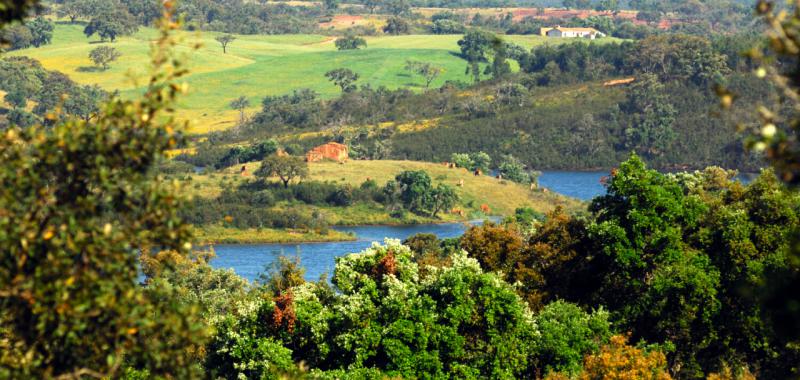 Alentejo