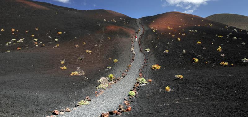 La Palma 