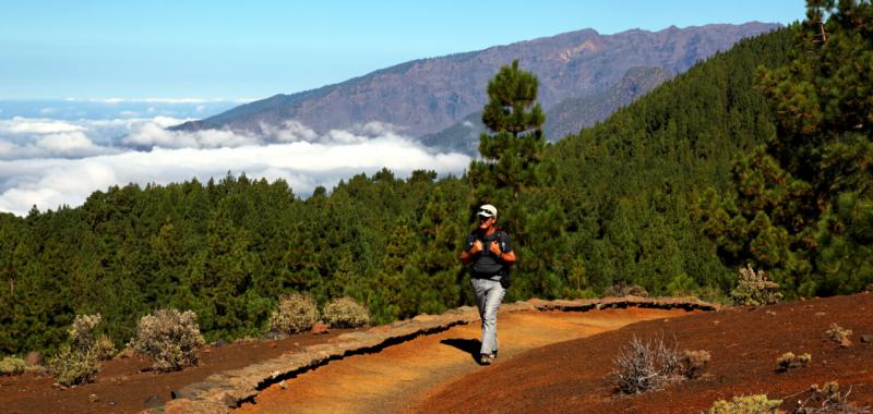 La Palma 