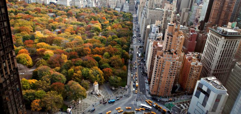 Arte y cultura en Nueva York