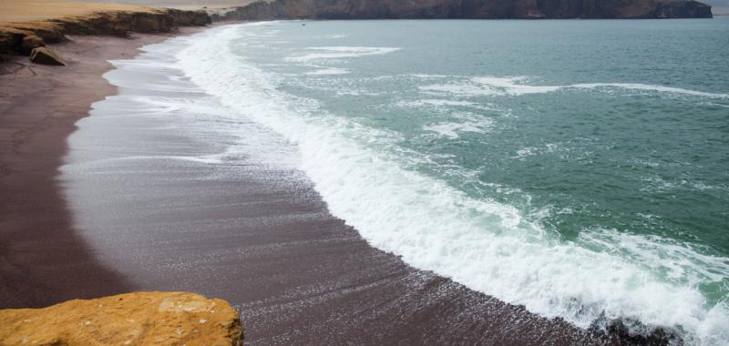 Reserva de Paracas