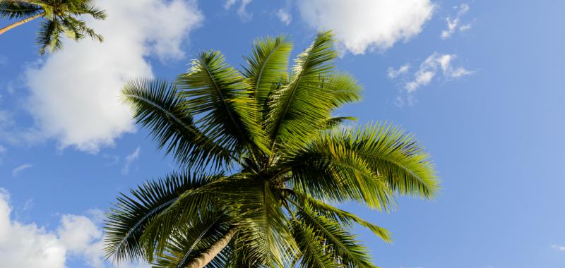 Islas de Tahití