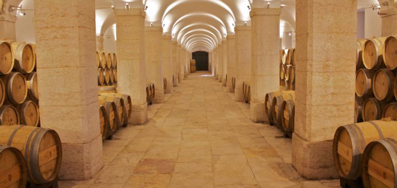 Lisboa a través de sus vinos