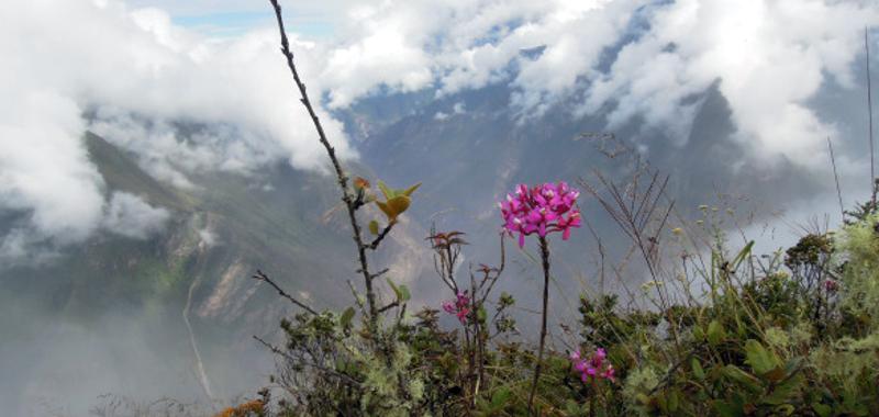 Choquequirao