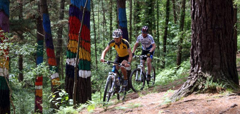 Rutas en bici 