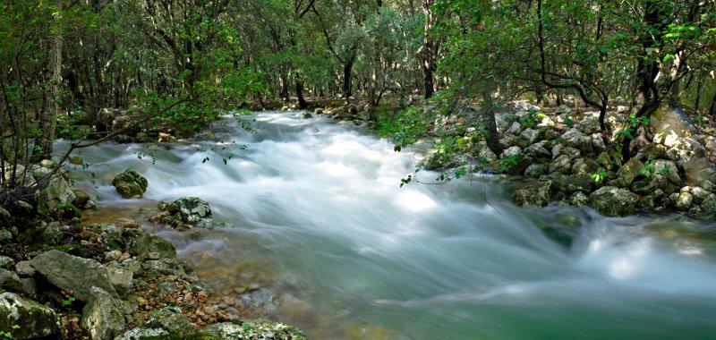 Sierra de Tramontana