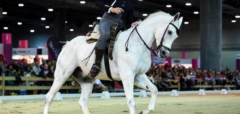 Madrid Horse Week 