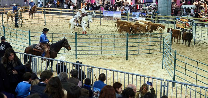 Madrid Horse Week 