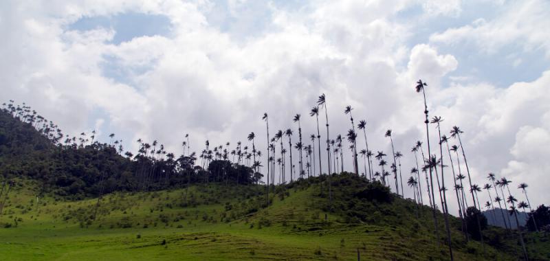 Colombia 