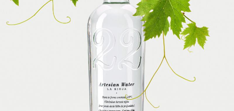 22 Artesian Water