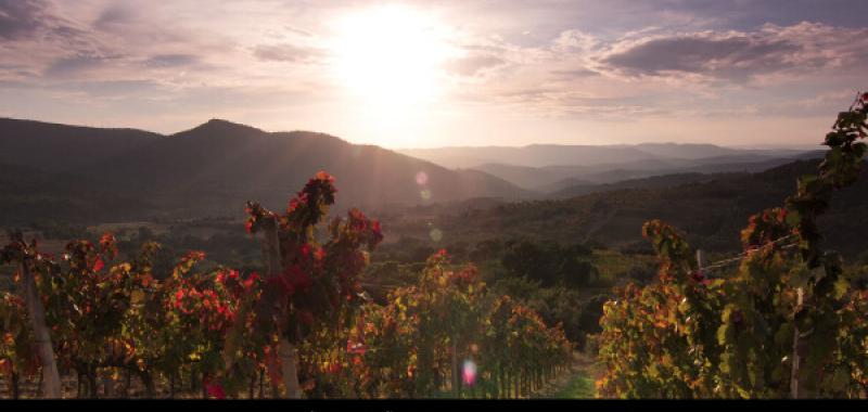 Ruta del Vino Somontano