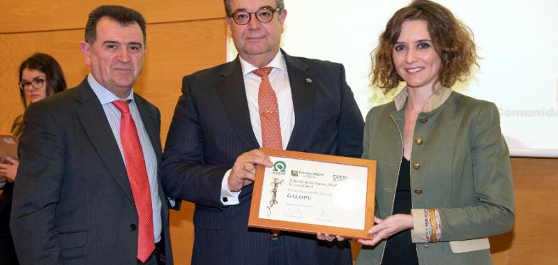 Premios AEEPP