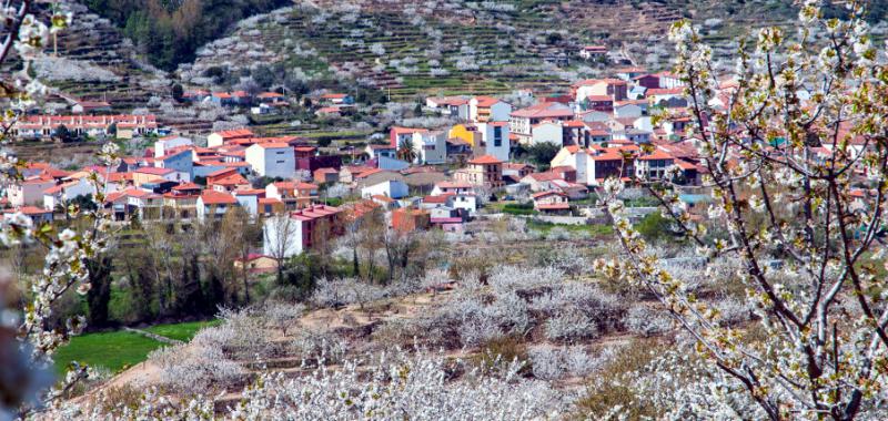 Valle del Jerte 