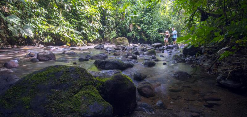 Alojamientos ecológicos 