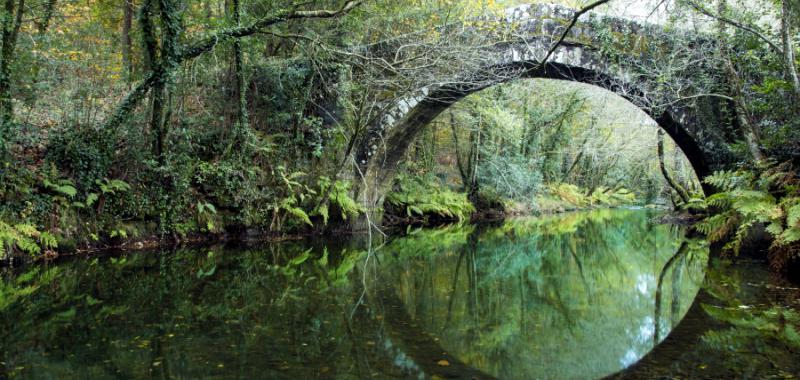 A Ría da Estrela 