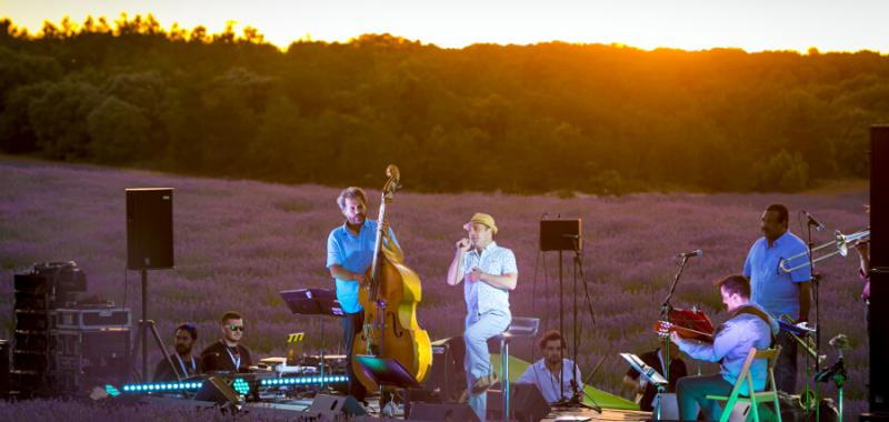 Festival de la Lavanda