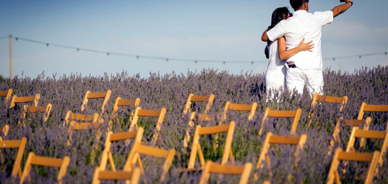 Festival de la Lavanda