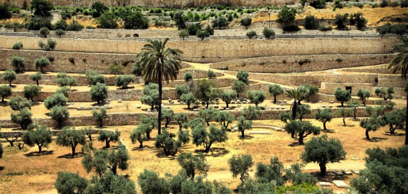 Giro de Italia en Israel 