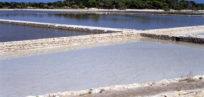 Palma de Mallorca  Salinas