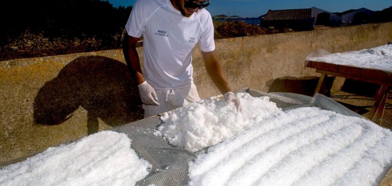 Palma de Mallorca  Salinas