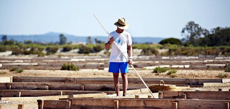 Palma de Mallorca  Salinas