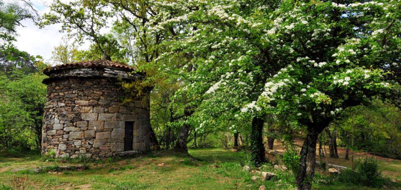 Escapadas para aquellos que no soportan el verano 