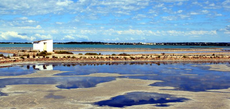 Parque de Las Salinas 